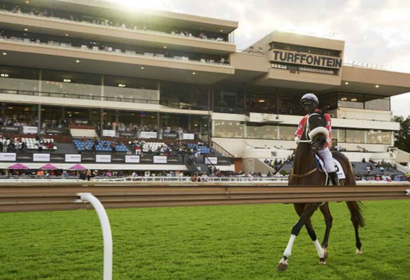 South African TABGold Horse Racing Results Today Punters